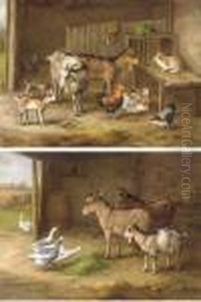 Goats, A Rabbit And Chickens In A Barn; And Donkeys And Geesefeeding Oil Painting by Edgar Hunt