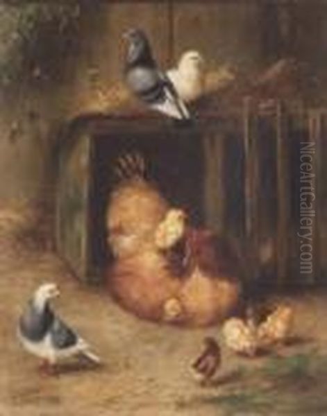 Chicken, Chicks And Pigeons Oil Painting by Edgar Hunt