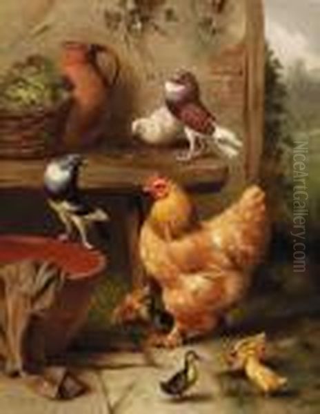 A Chicken, Doves, Pigeons And Ducklings Oil Painting by Edgar Hunt