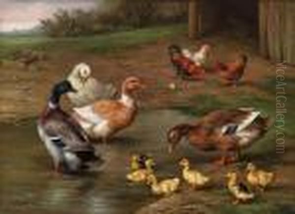 Chickens, Ducks And Ducklings Paddling; And Puppies And Pigeonsplaying By A Kennel Oil Painting by Edgar Hunt