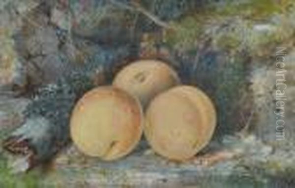 Still Life Study Peaches On A Mossy Bank Oil Painting by William Henry Hunt