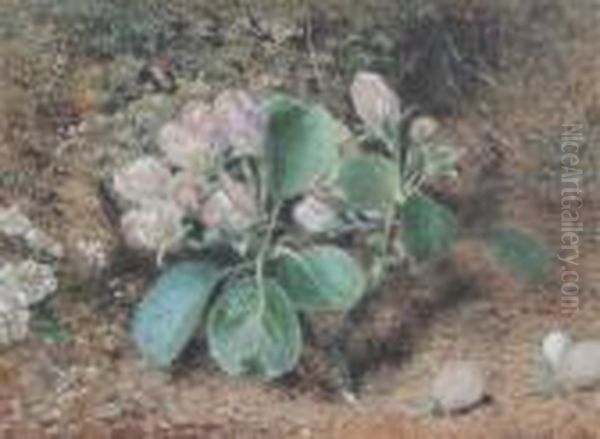 Still Life Of Apple Blossom Oil Painting by William Henry Hunt