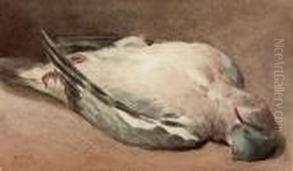 A Wood Pigeon Oil Painting by William Henry Hunt