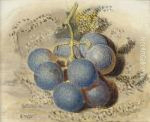 A Bunch Of Grapes Oil Painting by William Henry Hunt