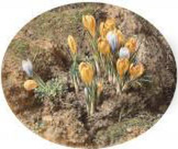 Crocuses Growing On A Mossy Bank Oil Painting by William Henry Hunt