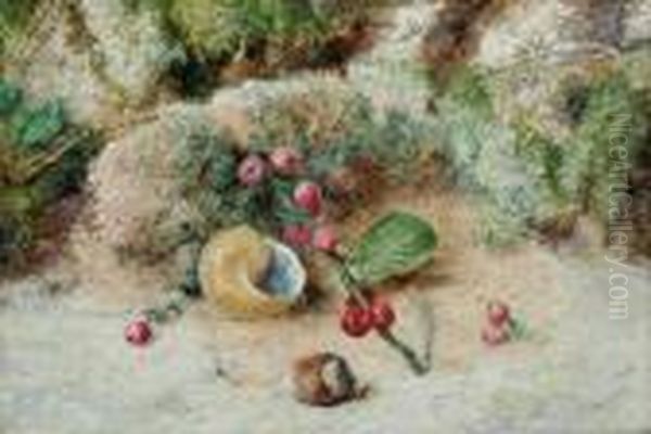 Stilllife Of A Snail's Shell Oil Painting by William Henry Hunt