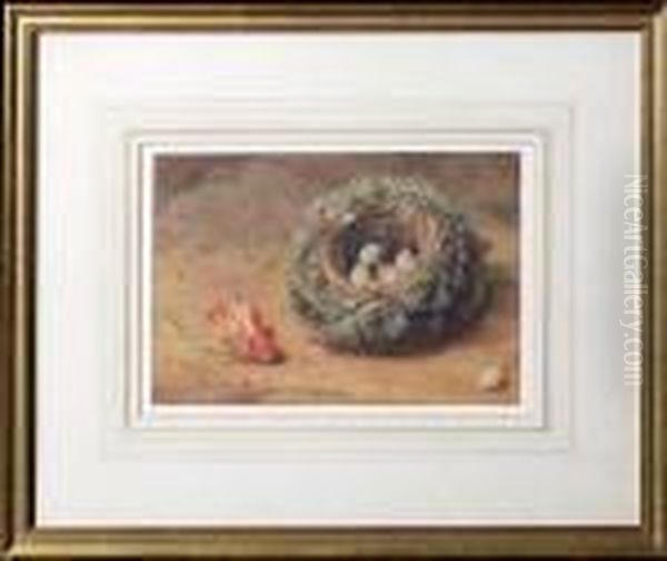 A Red Flower Lying Near A Bird's Nest Oil Painting by William Henry Hunt