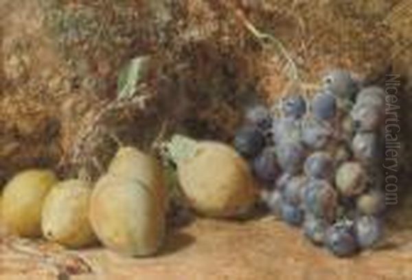 Still Life Of Plums, Grapes And Rosehips On A Mossy Bank Oil Painting by William Henry Hunt