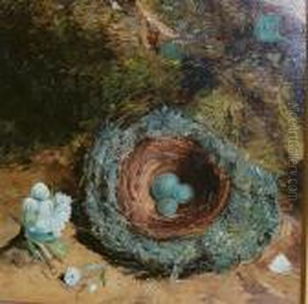 Still Life With A Robin's Nest Oil Painting by William Henry Hunt