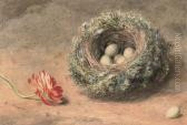 Still Life Of A Bird's Nest And Tulip Oil Painting by William Henry Hunt