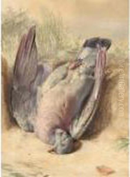 Still Life With A Dead Pigeon Oil Painting by William Henry Hunt