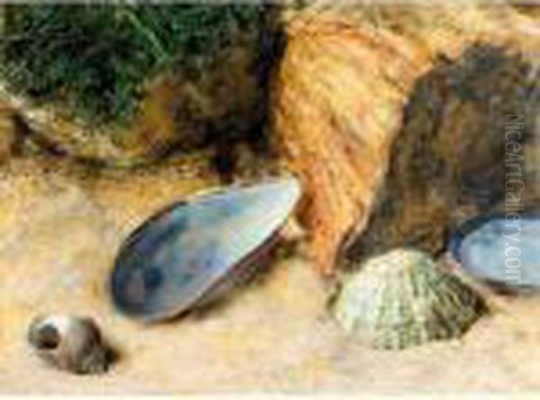 Still Life With Sea Shells On A Mossy Bank Oil Painting by William Henry Hunt