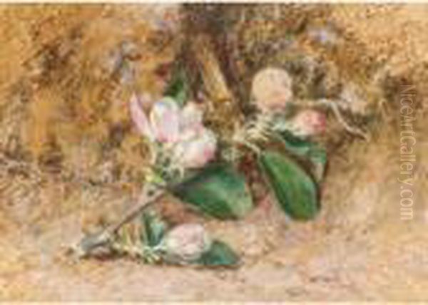 Apple Blossom Oil Painting by William Henry Hunt