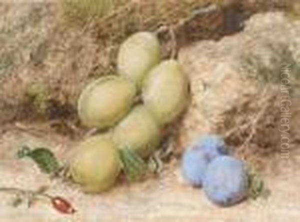 Magnum Bonum And Orleans Plums Oil Painting by William Henry Hunt