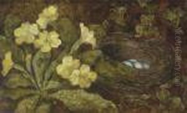 A Primula And A Bird's Nest On A Mossy Bank Oil Painting by William Henry Hunt