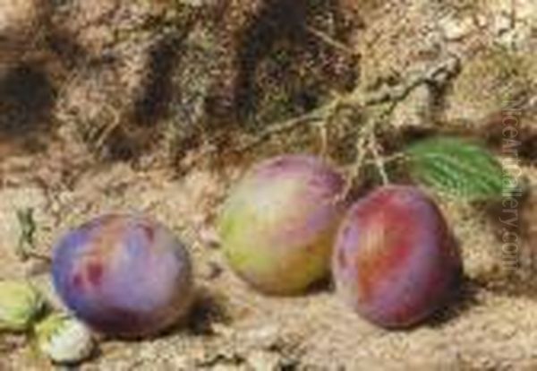 Still Life With Plums And Hazelnuts On A Mossy Bank Oil Painting by William Henry Hunt