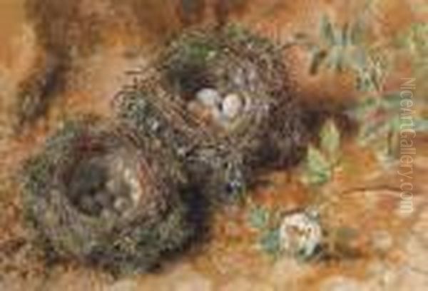 Still Life With Birds' Nests Oil Painting by William Henry Hunt