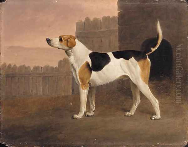 A Foxhound outside a Kennel Oil Painting by William Bazett Murray