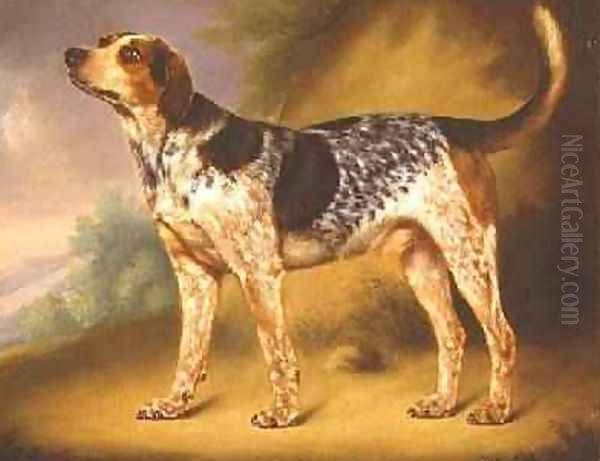 Richard Stracheys Hound Glancer 1808 Oil Painting by Thomas Morris