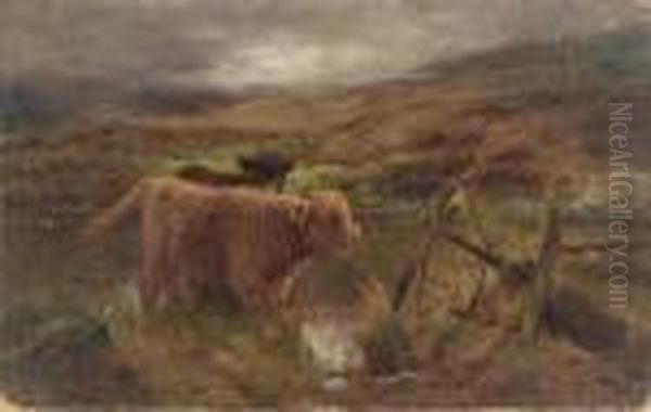 Highland Calves Watering Oil Painting by Louis Bosworth Hurt