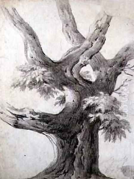 Study of a Tree 1823 Oil Painting by Alphonse Nicolas Michel Mandevare