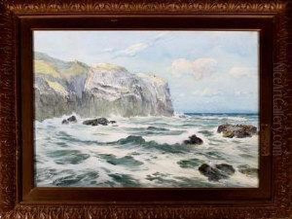 A Rocky Coast With Seagulls Nesting On The Cliffs Oil Painting by Thomas Swift Hutton