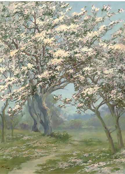 Spring blossom Oil Painting by John Stewart Maclaren