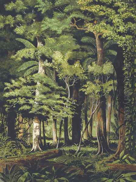 A Brazilian jungle Oil Painting by William Michaud