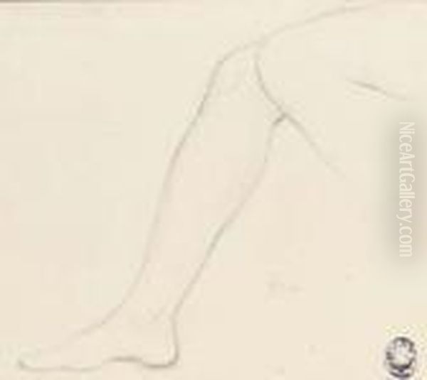 Study Of A Right Leg With Part Of The Left Knee Oil Painting by Jean Auguste Dominique Ingres