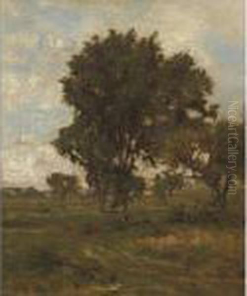 The Elm Tree Oil Painting by George Inness