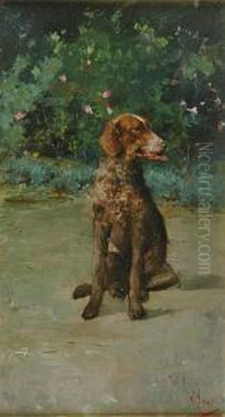 Portrait Of A German Wirehaired Pointer Oil Painting by Vincenzo Irolli