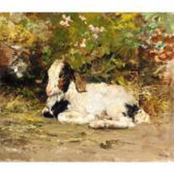 Young Goat Oil Painting by Vincenzo Irolli