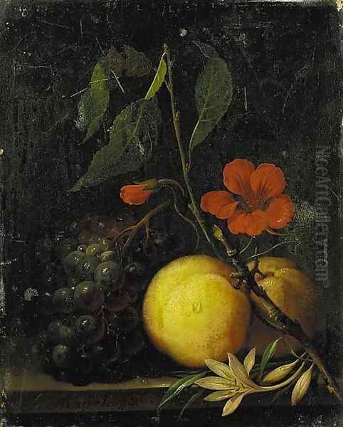 Grapes, peaches and a nasturtium, with a moth on a ledge Oil Painting by Johann Nepomuk Mayerhofer