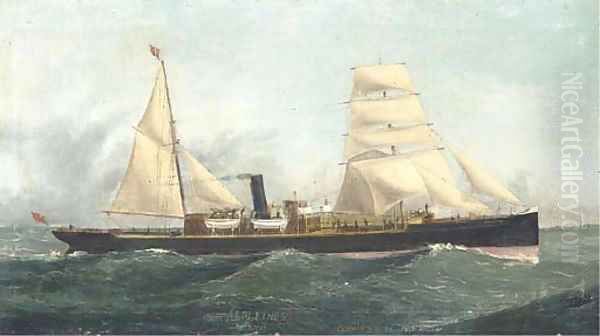 The auxiliary steamer Ardlethen of Aberdeen Oil Painting by John Henry Mohrmann