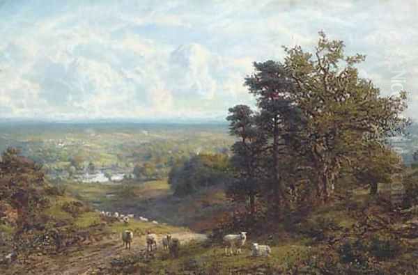 Sheep on a hillside overlooking an extensive landscape Oil Painting by C. W. Mole