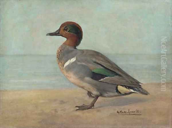 Green-winged Teal Oil Painting by Gustav Muss-Arnolt