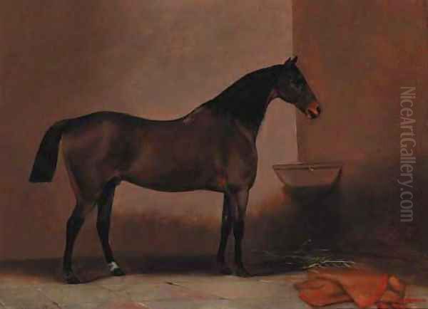 A bay hunter in a stable Oil Painting by G. W. Miller