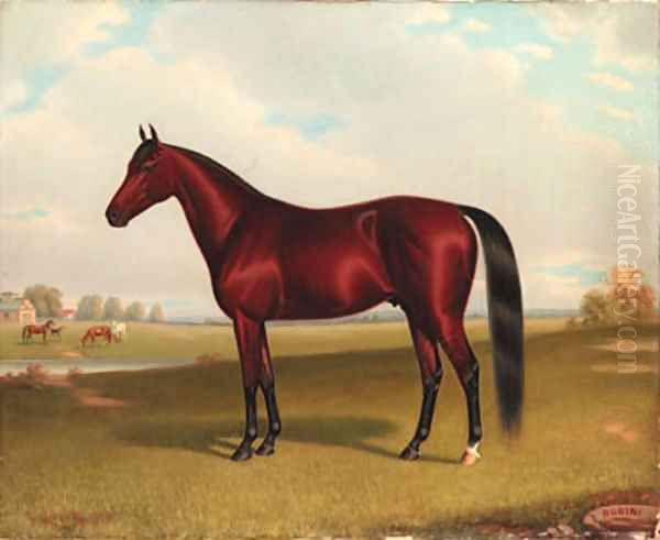 Rubini, A Bay Horse in a Lanscape Oil Painting by John McAuliffe