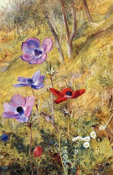 Anemones Oil Painting by Henry Roderick Newman