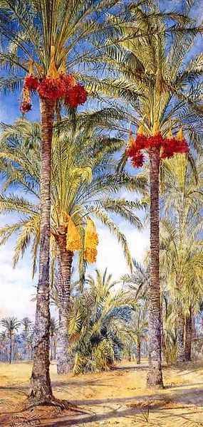 Date Trees, Ramleh, Egypt Oil Painting by Henry Roderick Newman