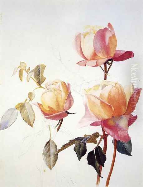 Florentine Roses Oil Painting by Henry Roderick Newman