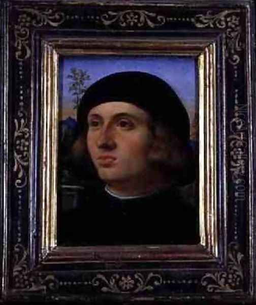 Portrait of a Young Man Oil Painting by Palma Vecchio (Jacopo Negretti)