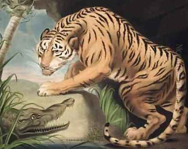 Tiger and Crocodile Oil Painting by James Northcote