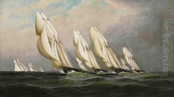 Racing Schooner Oil Painting by Antonio Nicolo Gasparo Jacobsen