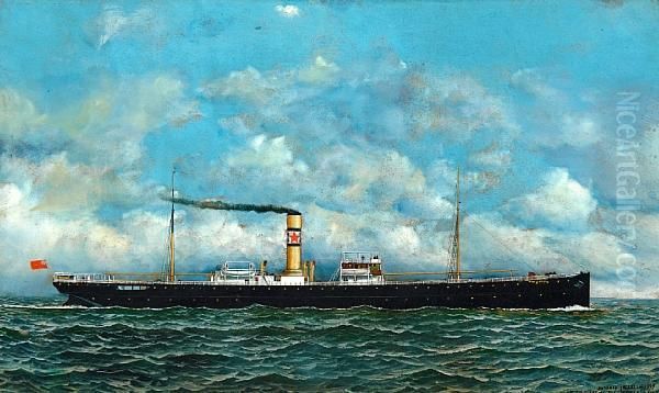 The British General Cargo Steamer Satsuma Atsea Oil Painting by Antonio Nicolo Gasparo Jacobsen