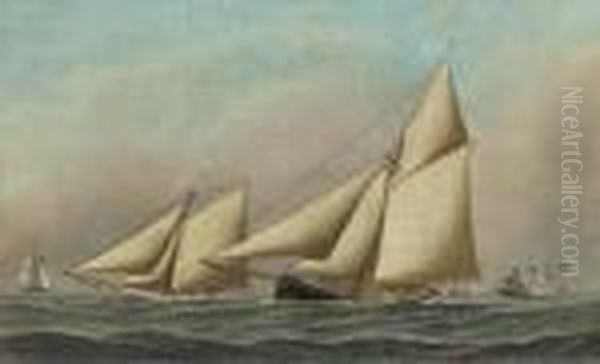 Mayflower And Galatea Neck And Neck During The America's Cup Raceof 1886; The First Race Oil Painting by Antonio Nicolo Gasparo Jacobsen