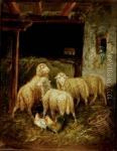 Sheep And Roosters In A Barn Oil Painting by Charles Emile Jacque