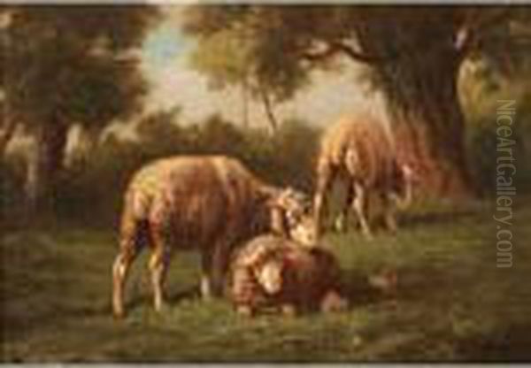 Moutons Au Paturage Oil Painting by Charles Emile Jacque