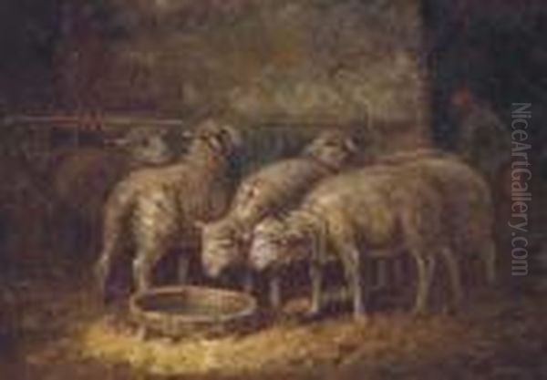 Sheep Watering In A Stable Oil Painting by Charles Emile Jacque