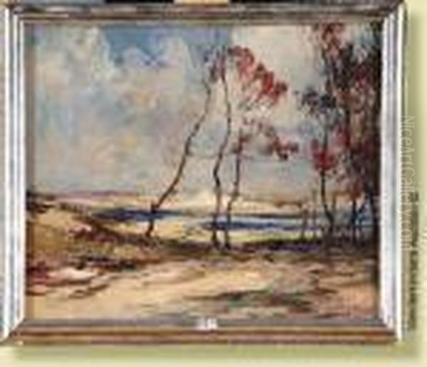 Arbres En Bord De Mer Oil Painting by Armand Jamar